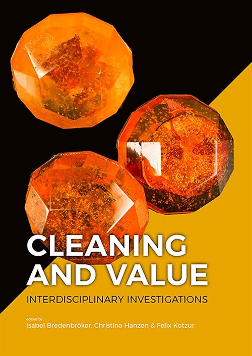 Cleaning and Value: Interdisciplinary Investigations (Hardcover)