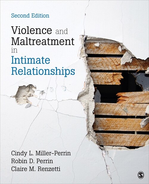 Violence and Maltreatment in Intimate Relationships (Paperback, 2)