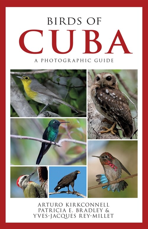 Birds of Cuba: A Photographic Guide (Paperback)