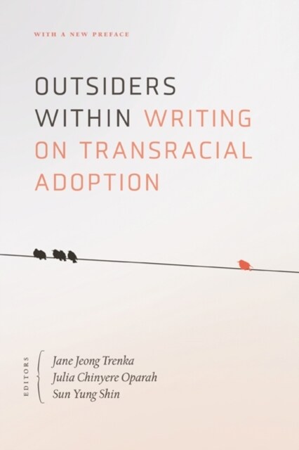 Outsiders Within: Writing on Transracial Adoption (Paperback)