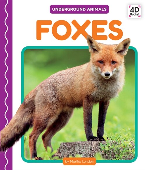 Foxes (Library Binding)