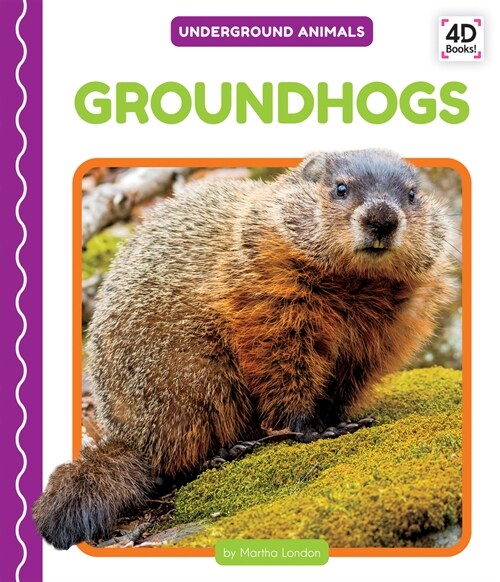 Groundhogs (Library Binding)