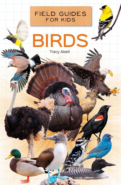 Birds (Library Binding)