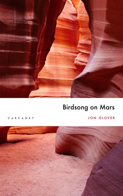 Birdsong on Mars (Paperback)