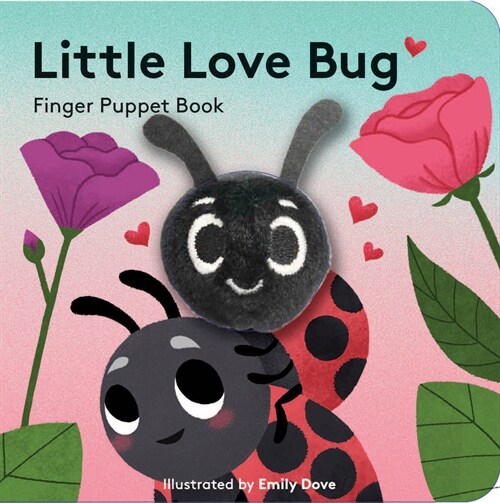 Little Love Bug (Board Books)