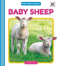 Baby Sheep (Library Binding)