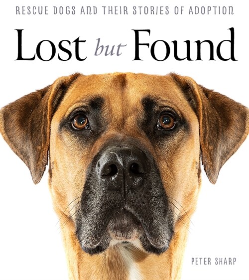 Lost but Found (Paperback)