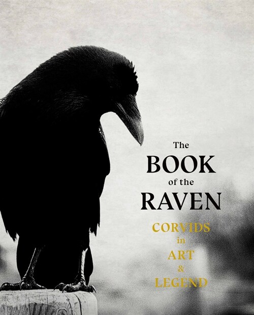 The Book of the Raven : Corvids in Art and Legend (Paperback)