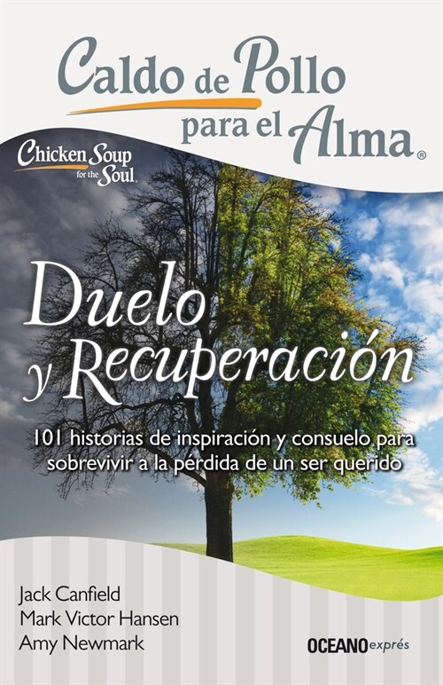 Caldo de Pollo Para El Alma: Duelo Y Recuperaci?: 101 Historias de Inspiraci? Y Consuelo Para Sobrevivir a la Perdida de Un Ser Querido (Paperback)