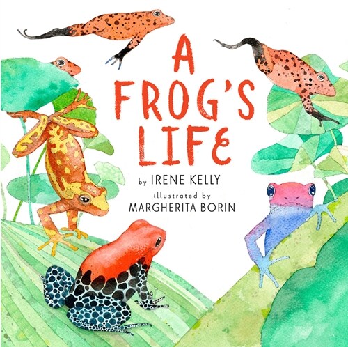 A Frogs Life (Paperback)