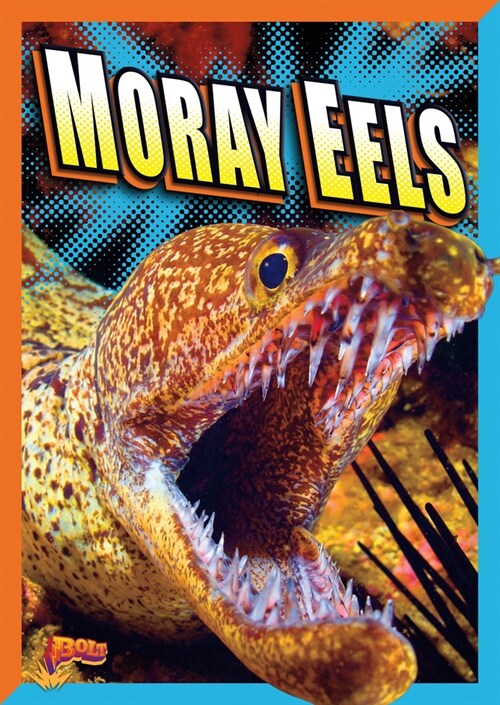 Moray Eels (Library Binding)