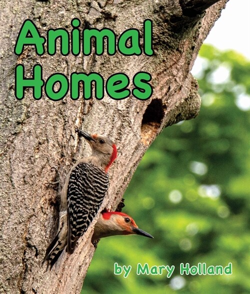 Animal Homes (Hardcover)