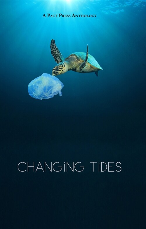 Changing Tides (Paperback)