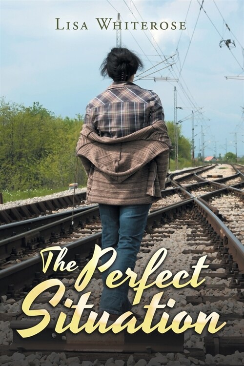 The Perfect Situation (Paperback)