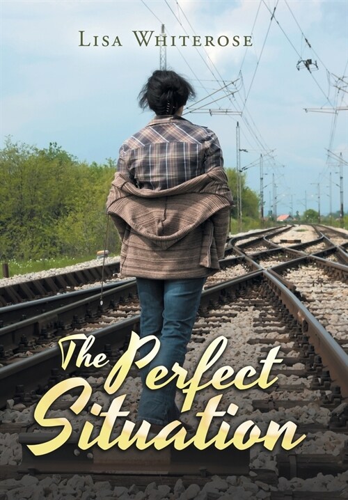 The Perfect Situation (Hardcover)