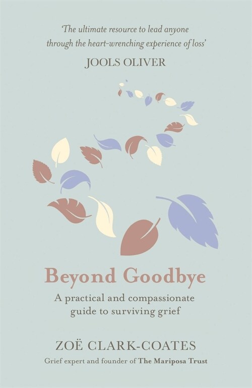 Beyond Goodbye : A practical and compassionate guide to surviving grief, with day-by-day resources to navigate a path through loss (Paperback)