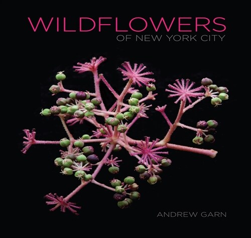 Wildflowers of New York City (Hardcover)