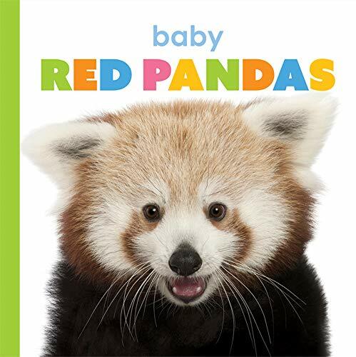 Baby Red Pandas (Library Binding)