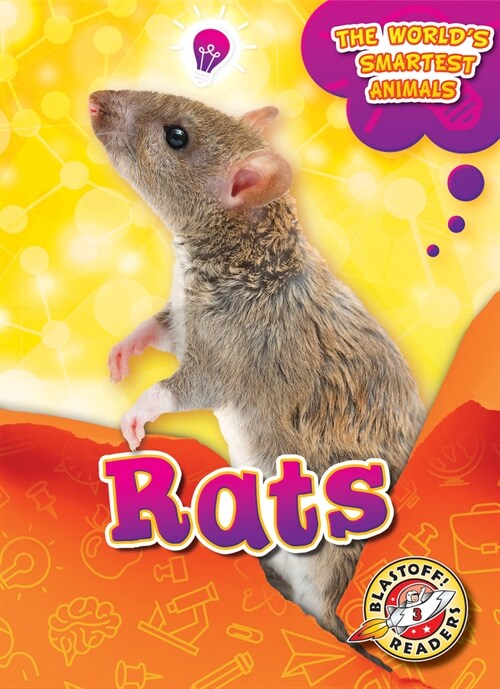 Rats (Library Binding)