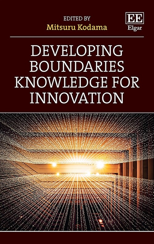 Developing Boundaries Knowledge for Innovation (Hardcover)