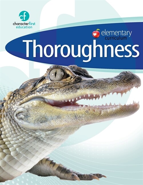 Elementary Curriculum Thoroughness (Paperback)