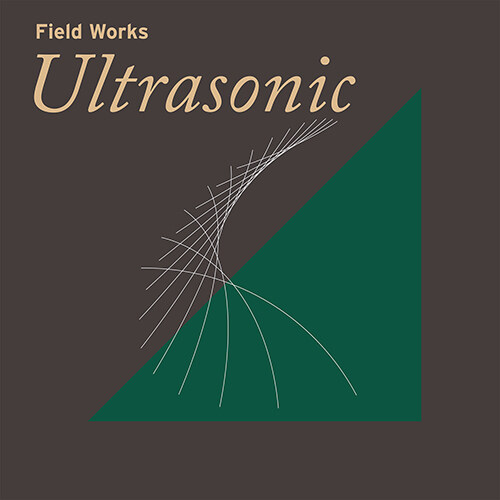 [수입] Field Works - Ultrasonic [2LP]