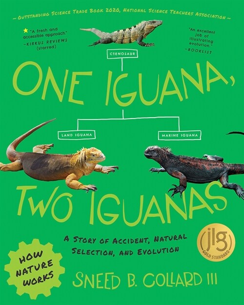 One Iguana, Two Iguanas: A Story of Accident, Natural Selection, and Evolution (Paperback)