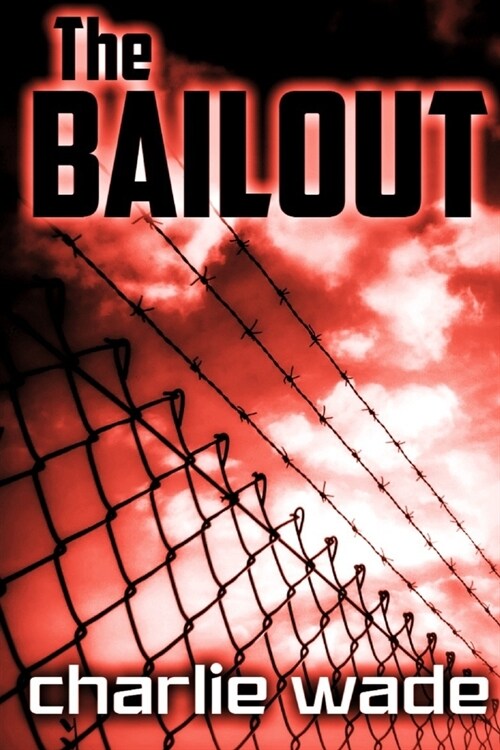 The Bailout (Paperback)