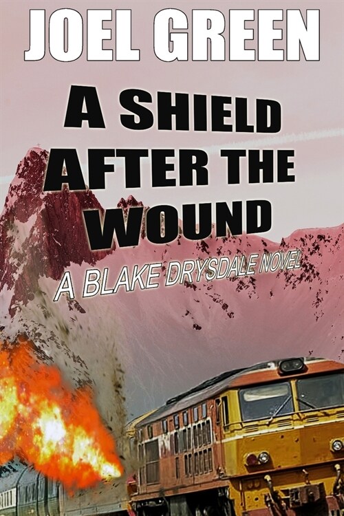 A Shield after the Wound (Paperback)