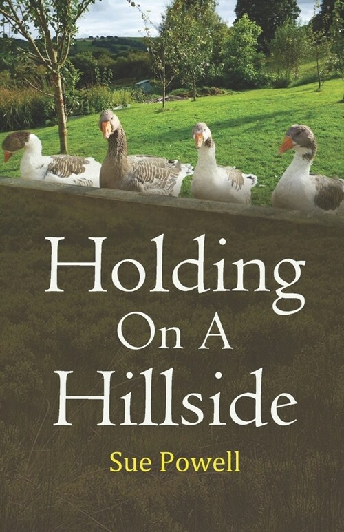 Holding on a Hillside (Paperback)