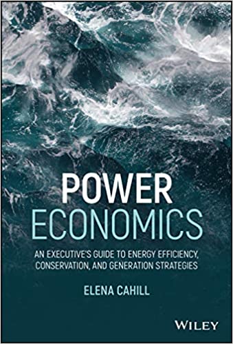 Power Economics: An Executives Guide to Energy Efficiency, Conservation, and Generation Strategies (Hardcover)