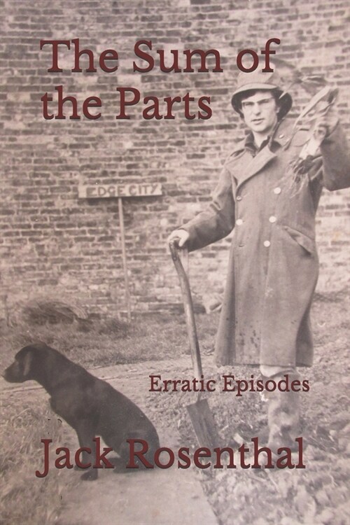 The Sum of the Parts: Erratic Episodes (Paperback)
