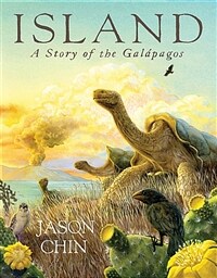 Island: A Story of the Gal?agos (Paperback)