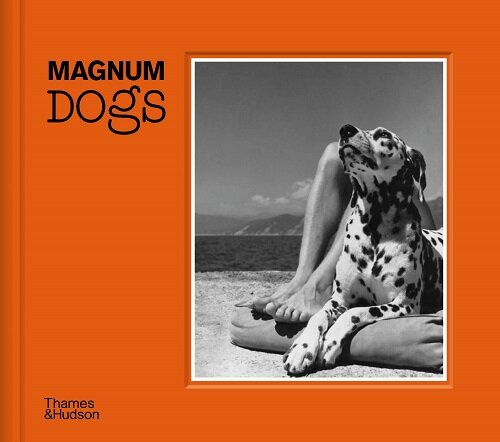 Magnum Dogs (Hardcover)