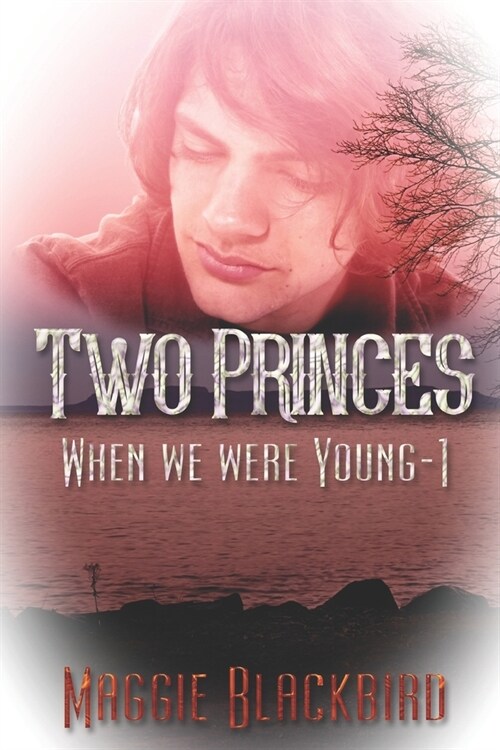 Two Princes (Paperback)