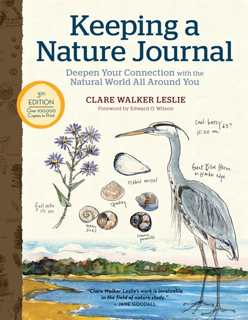 Keeping a Nature Journal, 3rd Edition: Deepen Your Connection with the Natural World All Around You (Paperback)
