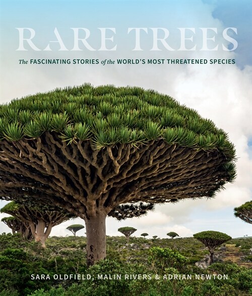 Rare Trees: The Fascinating Stories of the Worlds Most Threatened Species (Hardcover)