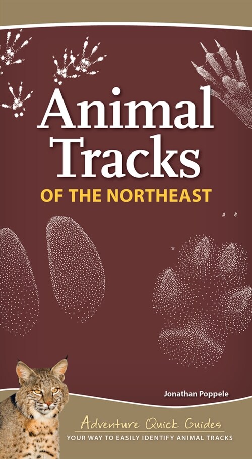 Animal Tracks of the Northeast: Your Way to Easily Identify Animal Tracks (Spiral)