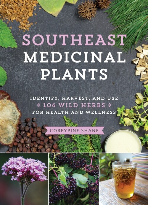 Southeast Medicinal Plants: Identify, Harvest, and Use 106 Wild Herbs for Health and Wellness (Paperback)