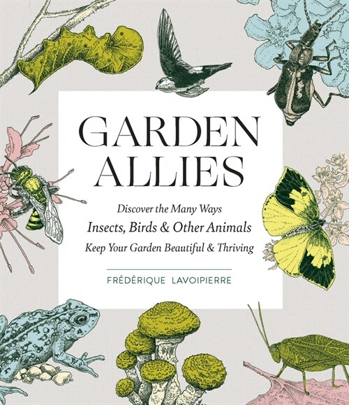 Garden Allies: The Insects, Birds, and Other Animals That Keep Your Garden Beautiful and Thriving (Paperback)