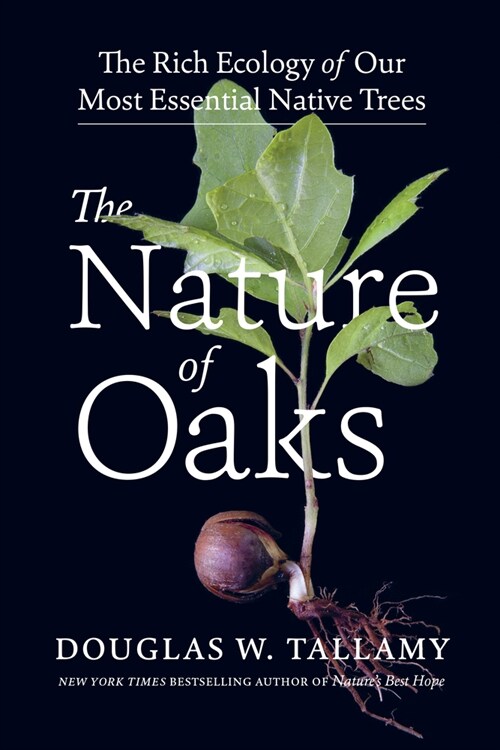 The Nature of Oaks: The Rich Ecology of Our Most Essential Native Trees (Hardcover)