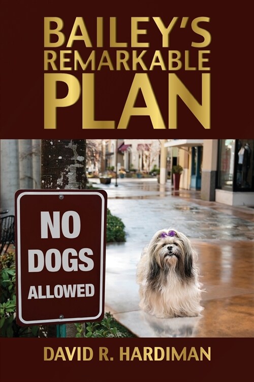 Baileys Remarkable Plan (Paperback)