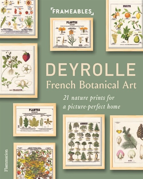 Deyrolle: French Botanical Art (Paperback)