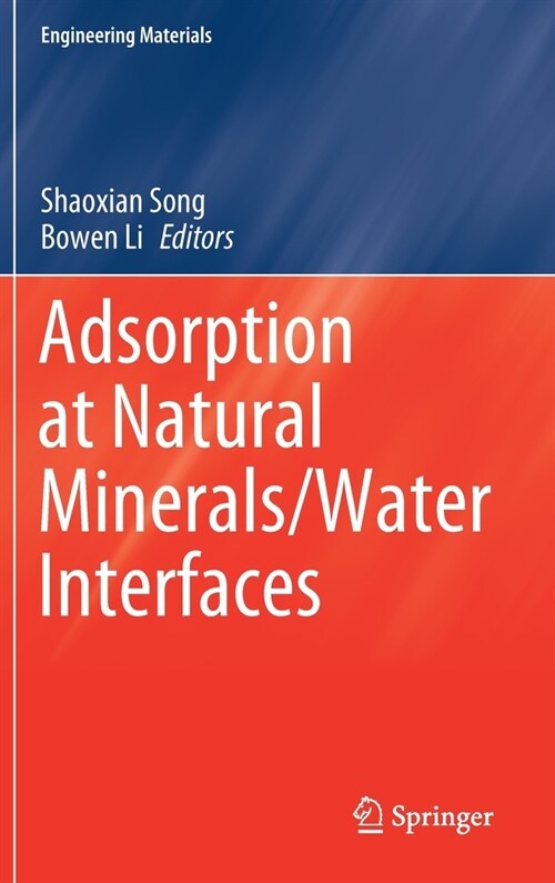 Adsorption at Natural Minerals/Water Interfaces (Hardcover)