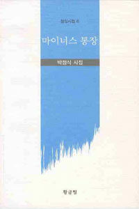 마이너스 통장 : 박정식 시집