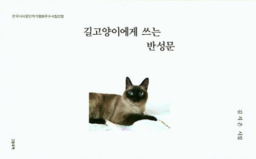 길고양이에게 쓰는 반성문