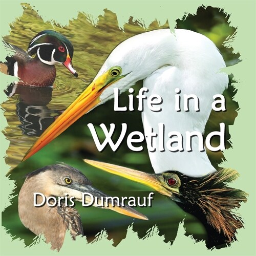 Life In A Wetland (Paperback)