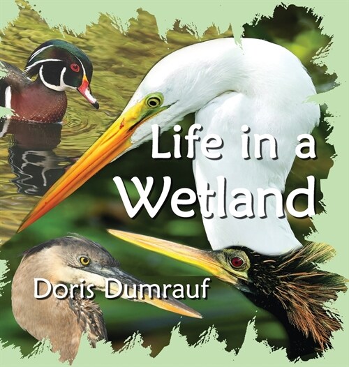 Life In A Wetland (Hardcover)