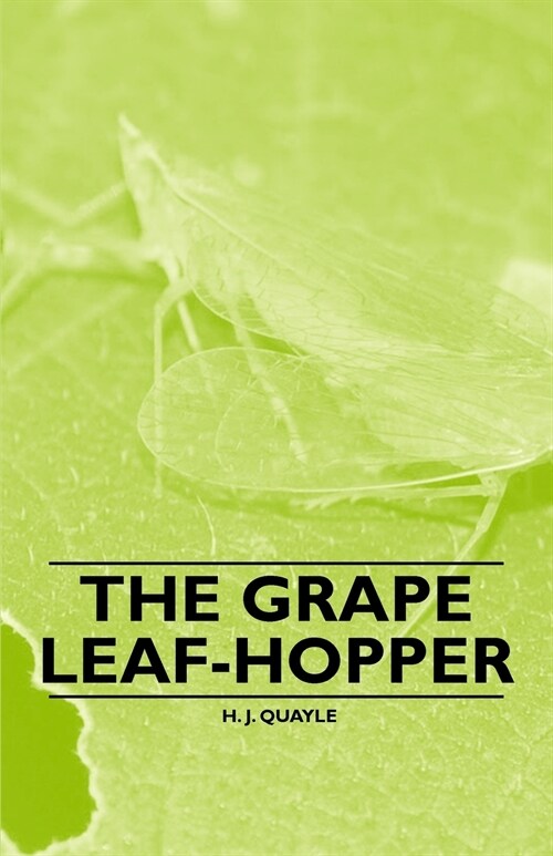 The Grape Leaf-Hopper (Paperback)