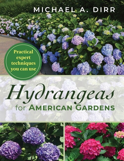 Hydrangeas for American Gardens (Hardcover, Reprint)